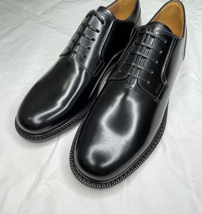 Dior Evidence Derby