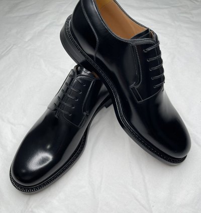 Dior Evidence Derby