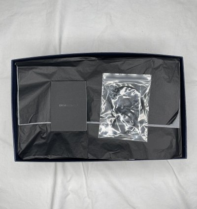 Dior Evidence Derby