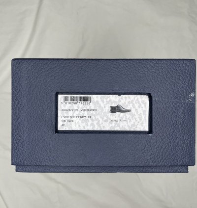 Dior Evidence Derby