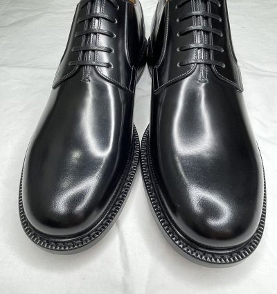 Dior Evidence Derby