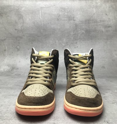 Nike Sb Dunk High Concepts Turdunken Mallard