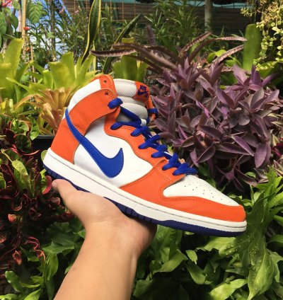 Nike Sb Dunk High Danny Supa 2017