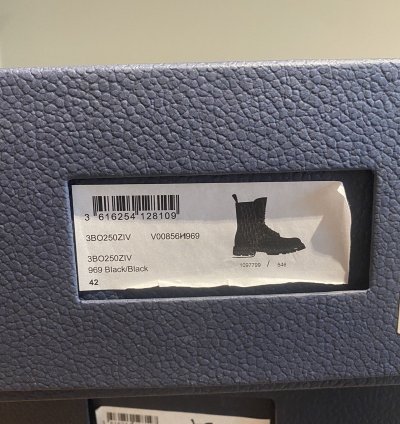 Dior Explorer Ii Leather Oblique Boots