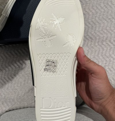 Dior High-top Sneaker -b23 White Oblique