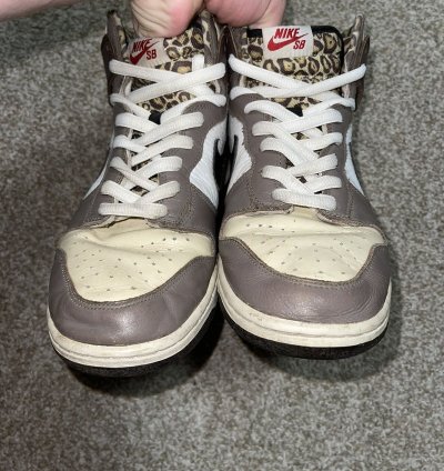 Nike Sb Dunk High Ferris Bueller