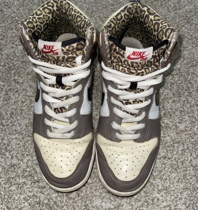 Nike Sb Dunk High Ferris Bueller