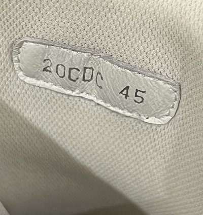 Dior Homme B24 Runtek Grey White Sneaker