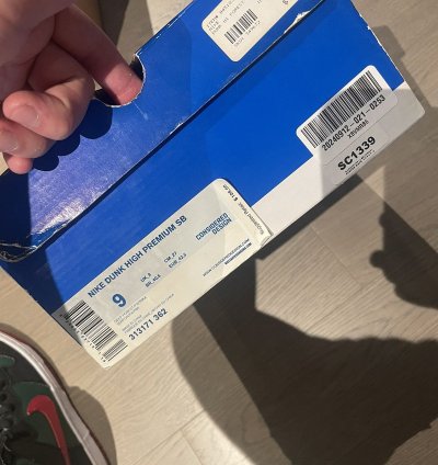 Nike Sb Dunk High Gucci Resn Sz 9