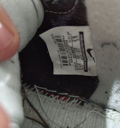 Nike Sb Dunk High Petoskey Premier