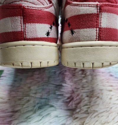 Nike Sb Dunk High Picnic