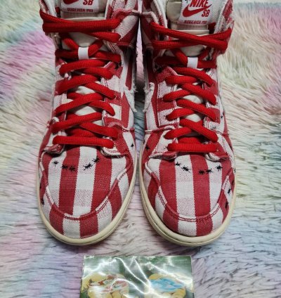 Nike Sb Dunk High Picnic