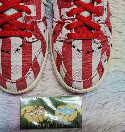Nike Sb Dunk High Picnic