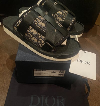 Dior Oblique Logo Slides