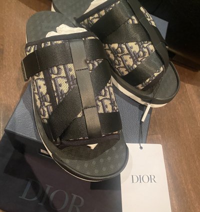 Dior Oblique Logo Slides