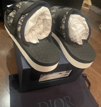 Dior Oblique Logo Slides