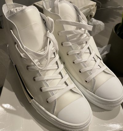 Dior Sample B23 Sneakers