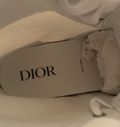 Dior Sample B23 Sneakers