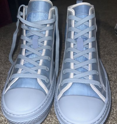 Dior Shoes