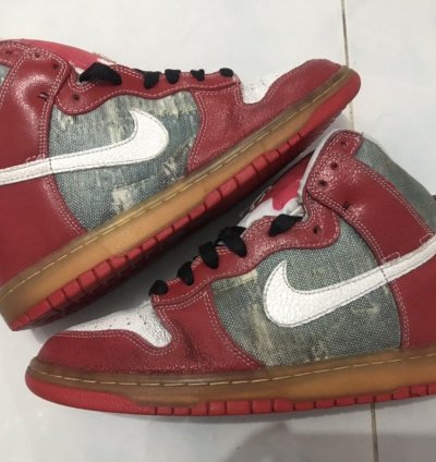 Nike Sb Dunk High Shoe Goo
