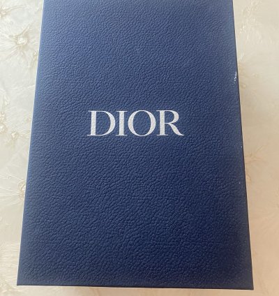 Dior Sneaker B27 Leather Shoes