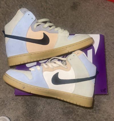 Nike Sb Dunk High Spectrum