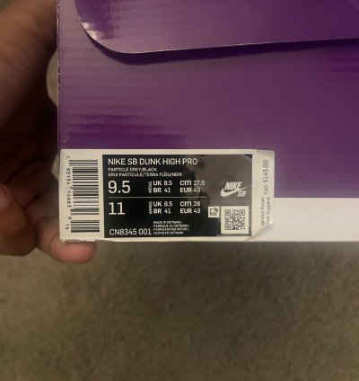 Nike Sb Dunk High Spectrum