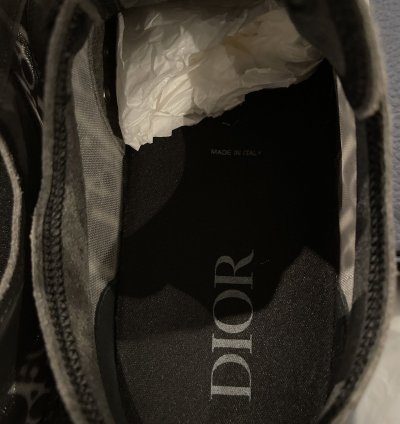 Dior Sneaker Low Oblique