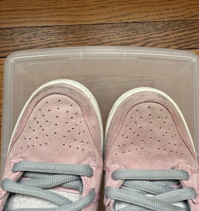 Nike Sb Dunk High When Pigs Fly