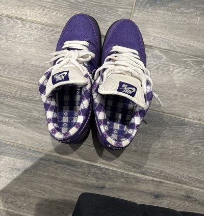 Nike Sb Dunk Los Purple Lobster