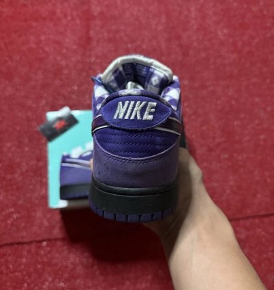 Nike Sb Dunk Los Purple Lobster