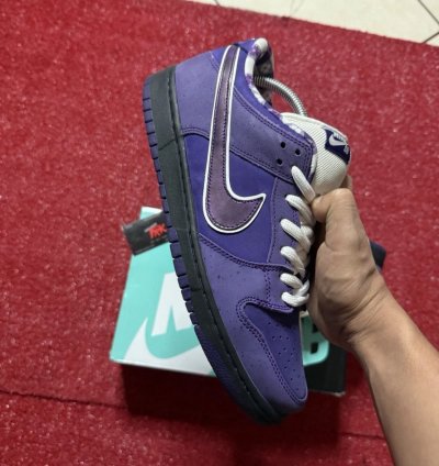 Nike Sb Dunk Los Purple Lobster