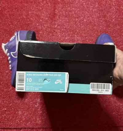 Nike Sb Dunk Los Purple Lobster