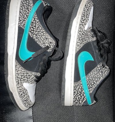Nike Sb Dunk Low