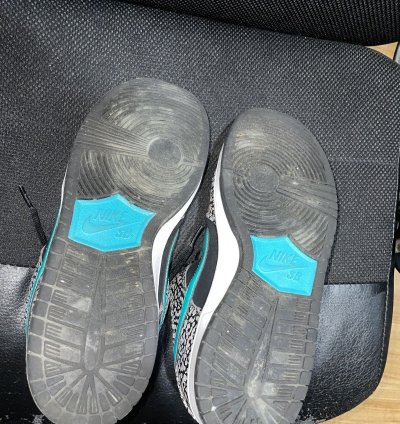 Nike Sb Dunk Low