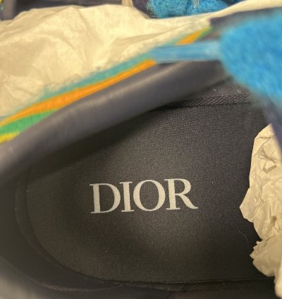 Dior Tears B33 Blue