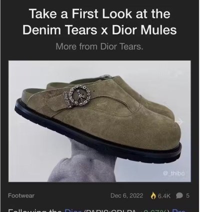 Dior Tears Oblique Mules