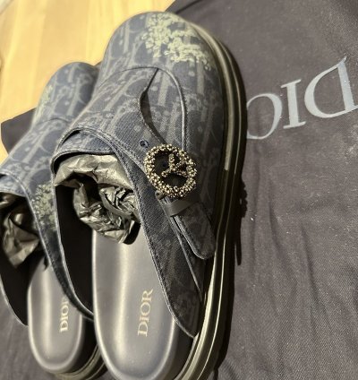 Dior Tears Oblique Mules