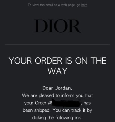 Dior Tokio Birkenstock
