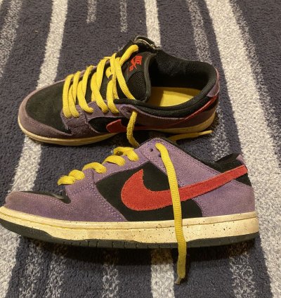 Nike Sb Dunk Low Acg Terra