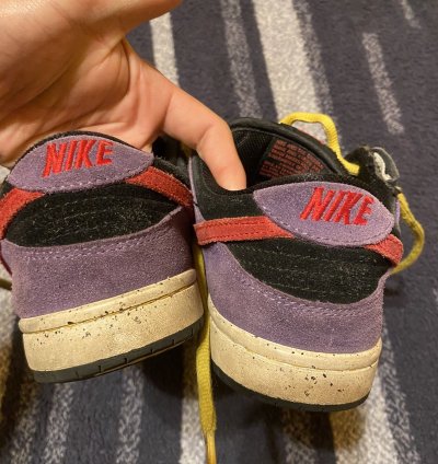 Nike Sb Dunk Low Acg Terra