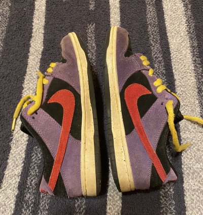 Nike Sb Dunk Low Acg Terra