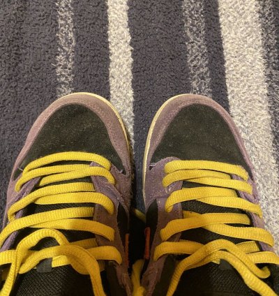 Nike Sb Dunk Low Acg Terra