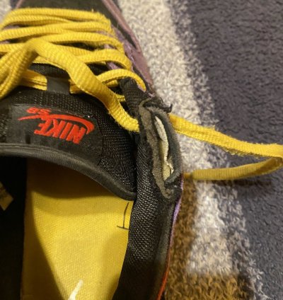 Nike Sb Dunk Low Acg Terra