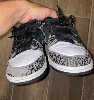 Nike Sb Dunk Low Atmos Elephant Skate Shoe