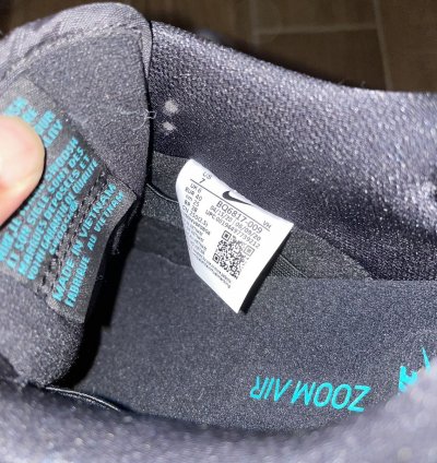 Nike Sb Dunk Low Atmos Elephant Skate Shoe