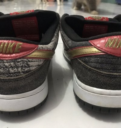 Nike Sb Dunk Low Beijing