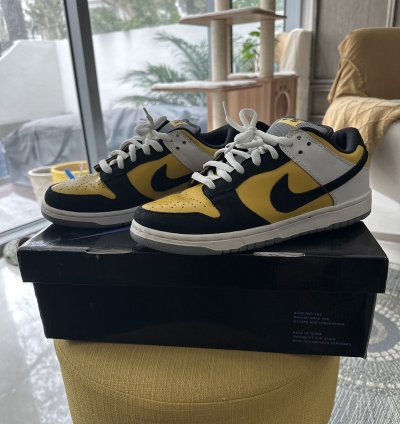 Nike Sb Dunk Low Bic