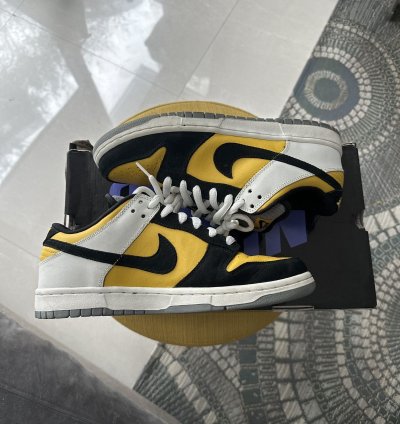 Nike Sb Dunk Low Bic