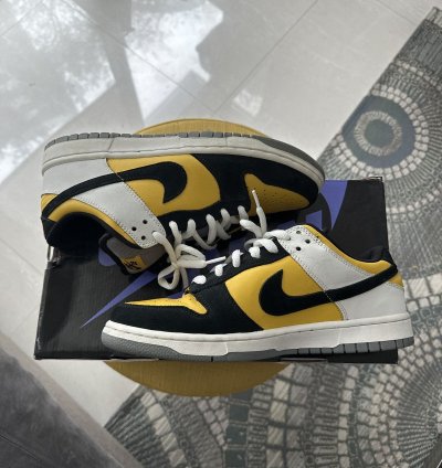 Nike Sb Dunk Low Bic
